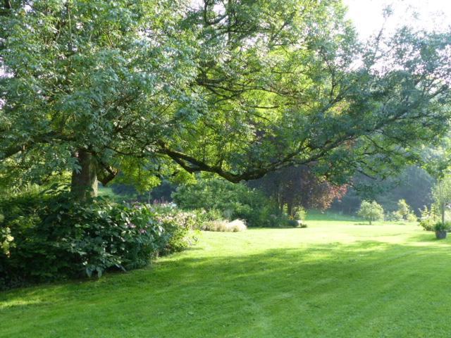 Apartmán Le Jardin Du Rossignol Willeman Exteriér fotografie